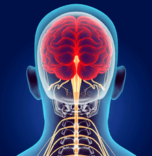 ілюстрацыя нервовых каналаў шыйнага аддзела хрыбетніка